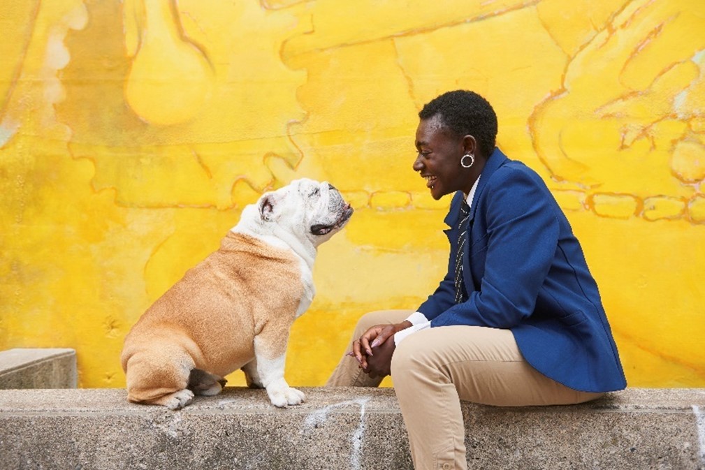 불독이 높은 벽에 앉아 주인을 바라보고 있습니다. 주인도 불독을 보고 웃고 있으며 두 존재는 서로의 시선과 미소를 통해 깊은 교감을 나누고 있습니다. 배경은 밝고 따뜻한 느낌을 주는 노란색 벽화입니다.