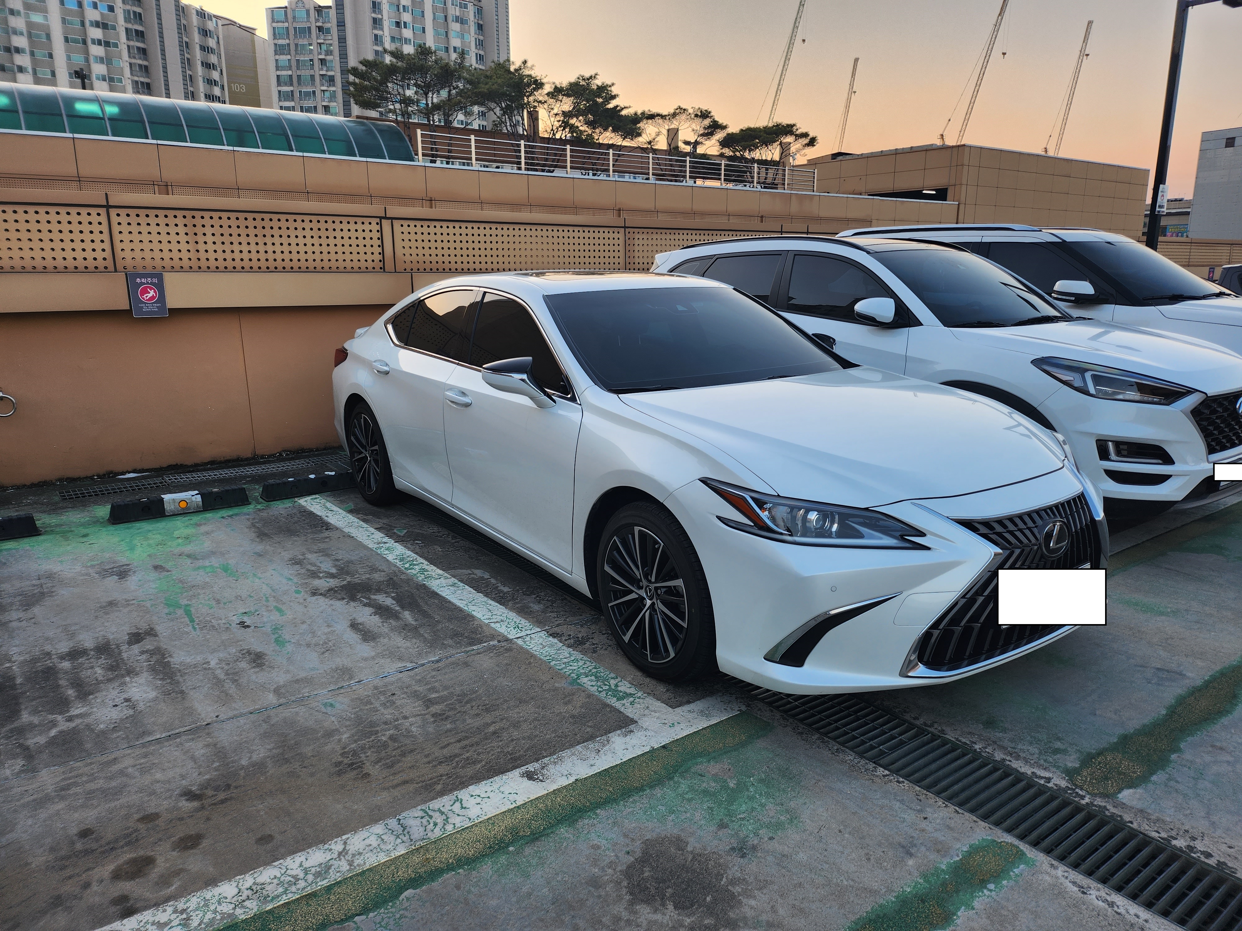 디자인