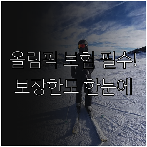 이탈리아 동계올림픽 여행자보험 필수 ..