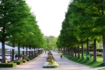 순천만 국제정원