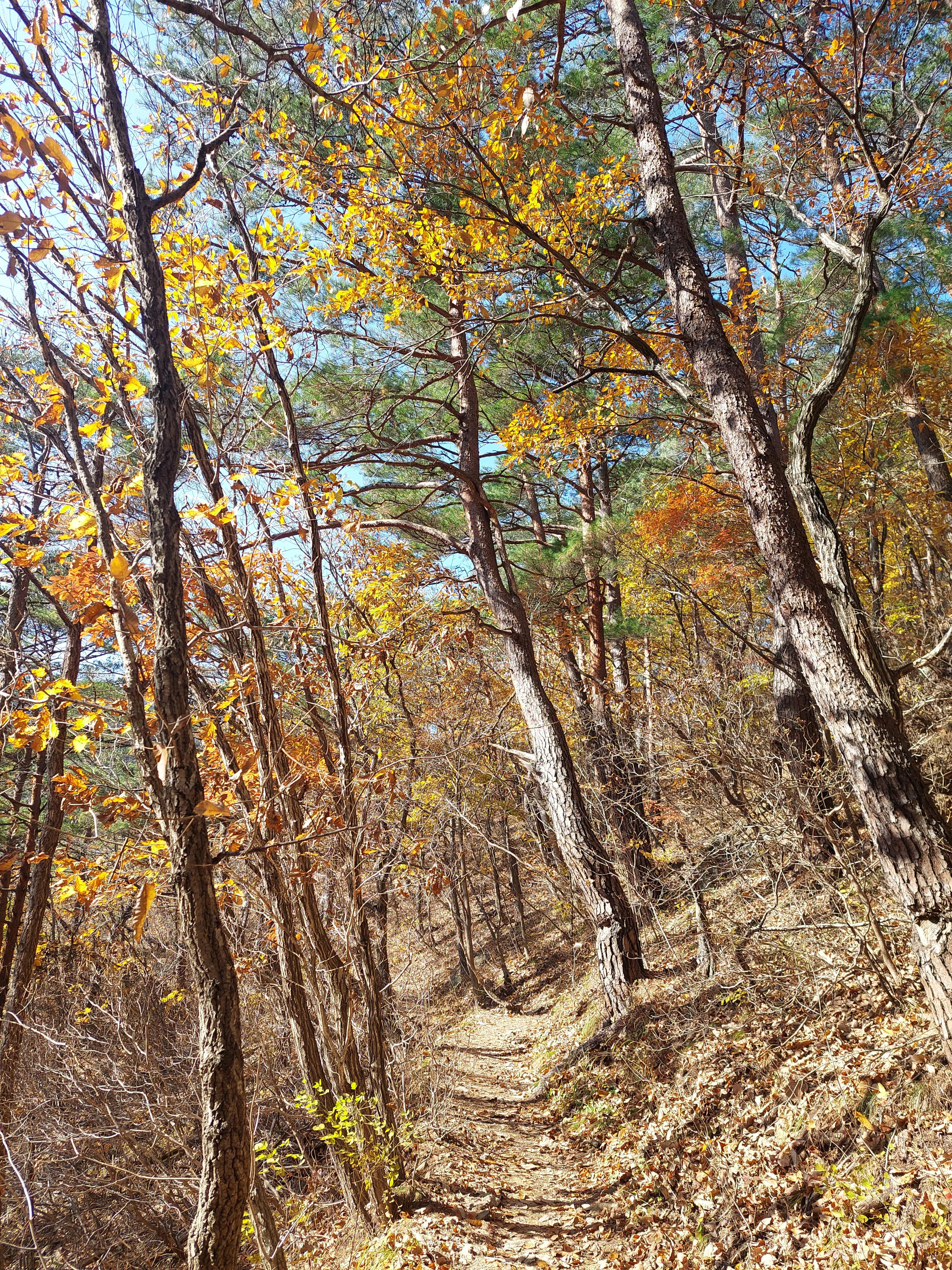 주왕산