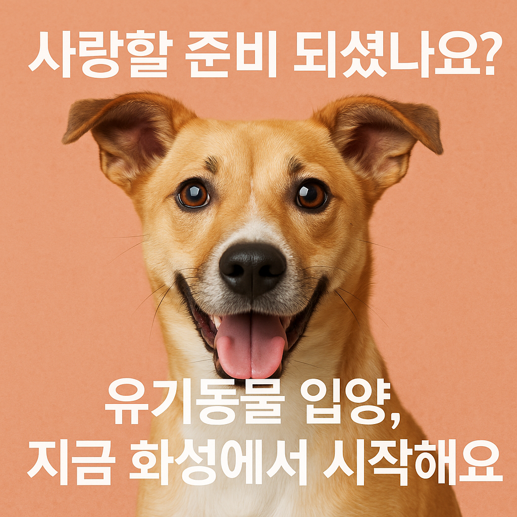 화성시 동물보호센터 입양