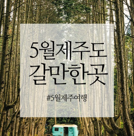 5월 제주도 사진