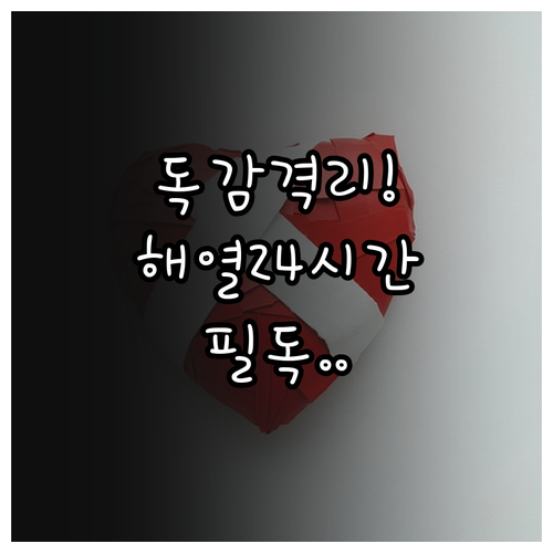 독감 격리 기간 및 일상 복귀 기준 ..