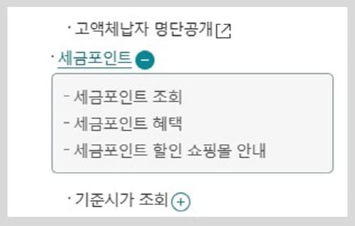 새금포인트