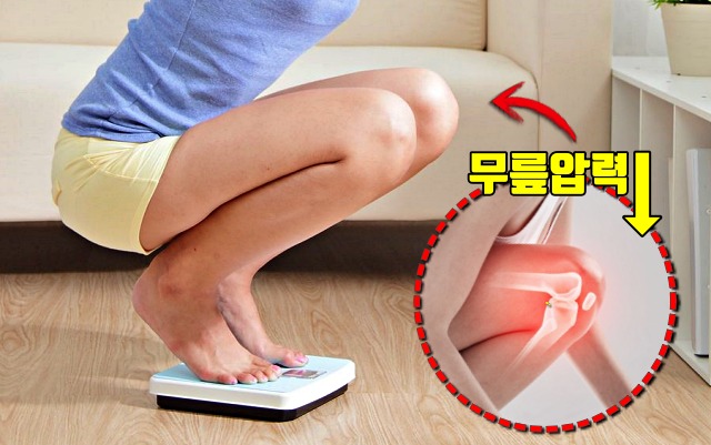 무릎 건강, 살빠지는 순서 다이어트 팁줌