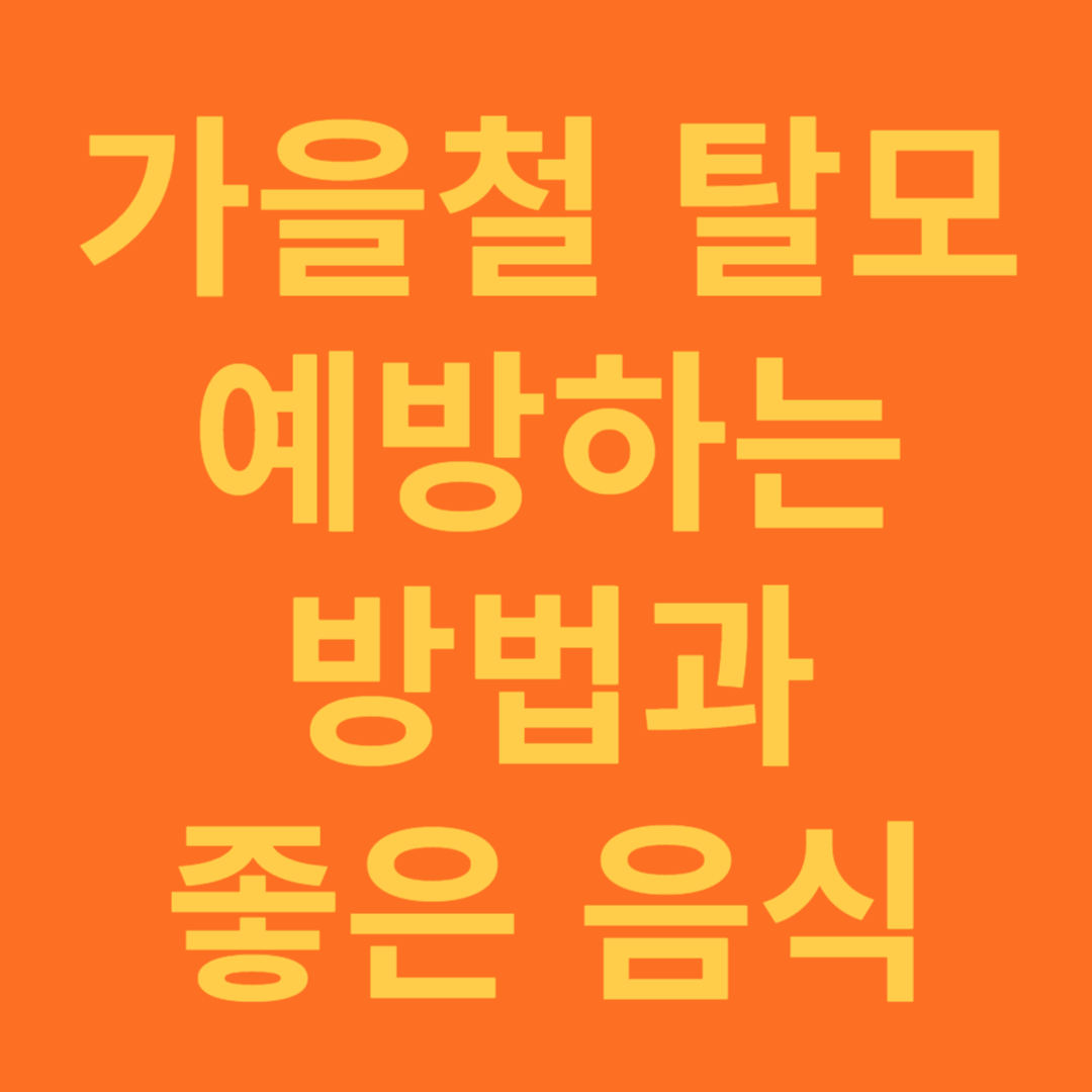 탈모 예방하는 방법과 좋은 음식