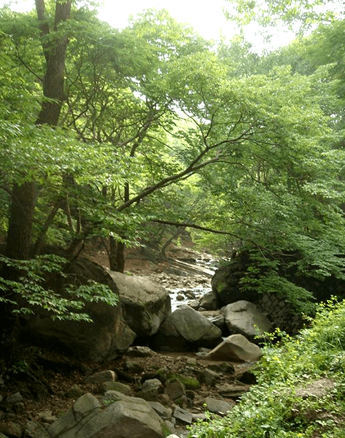 신선대04