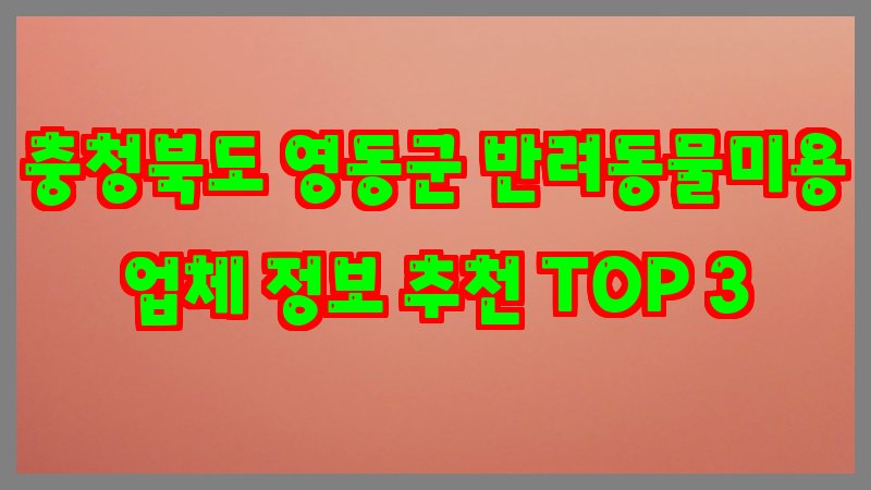 충청북도 영동군 반려동물미용