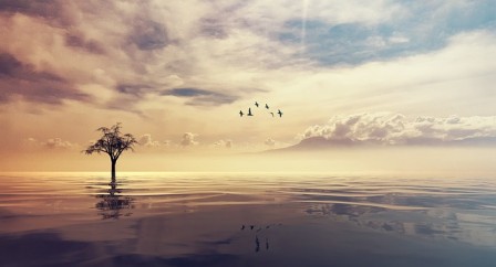 수용과 변화: 접근과 심리학의 만남