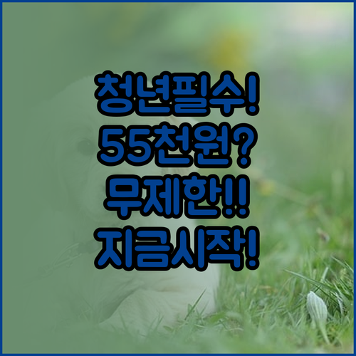 청년이라면 기후동행카드 무제한 이용 ..