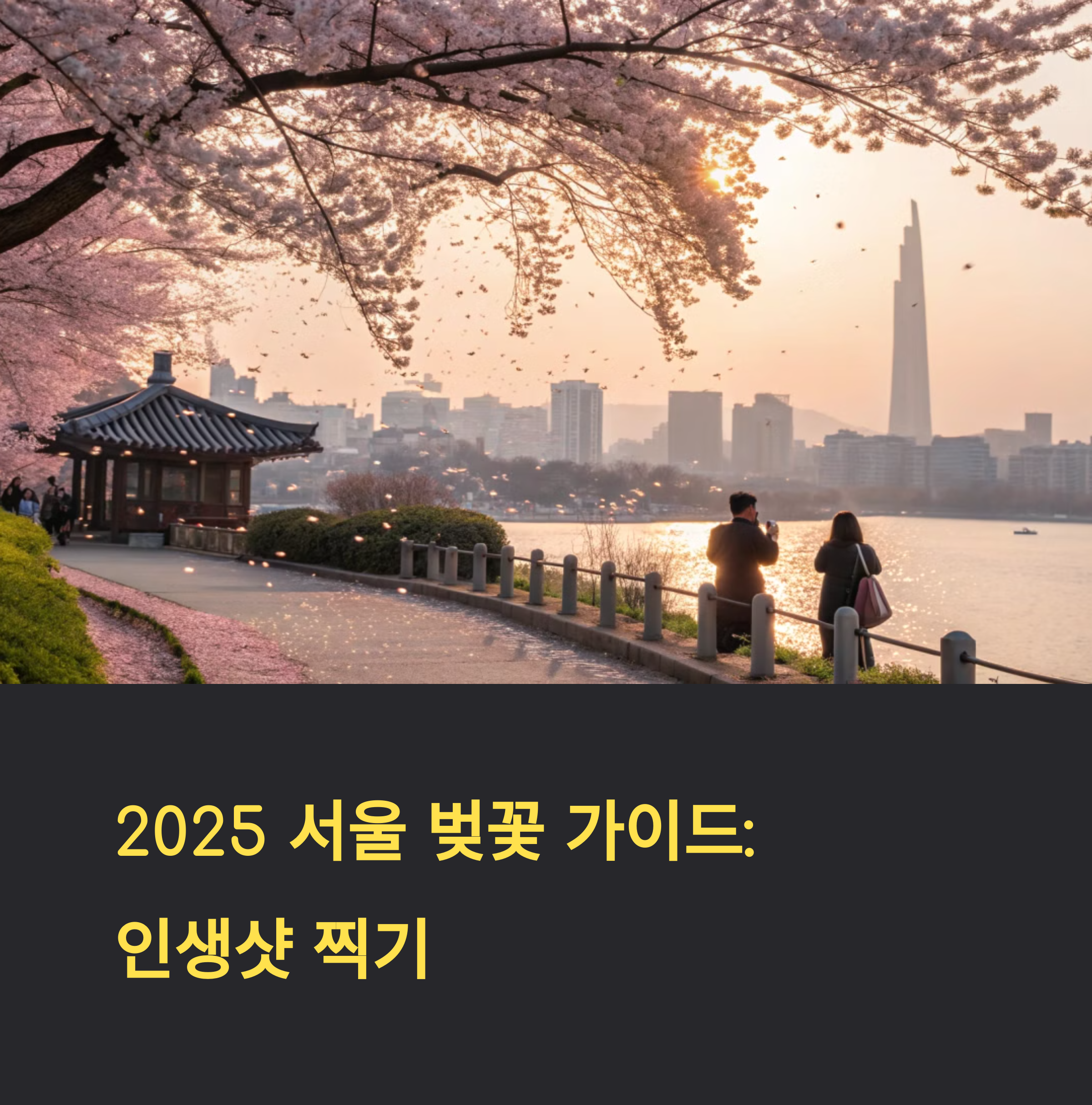 서울 벚꽃 개화 시기 언제? 2025년 예측 정보 확인