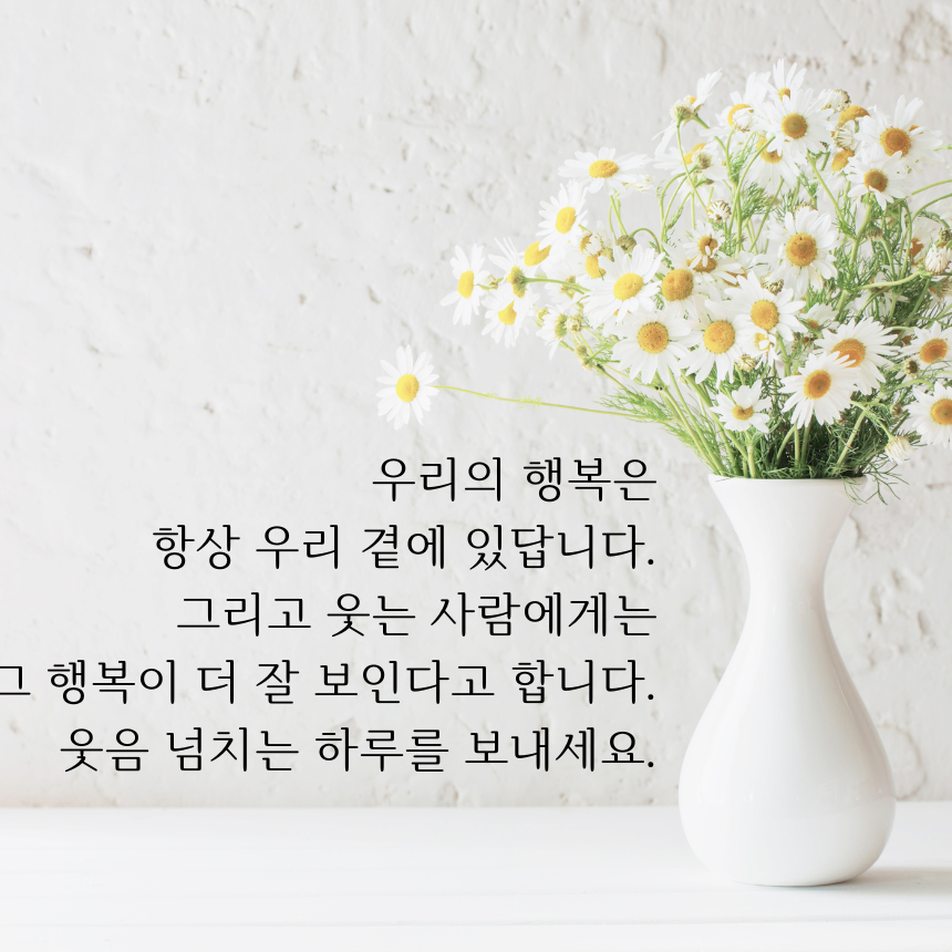 아침 인사로 좋은 글귀 이미지 문구 모음