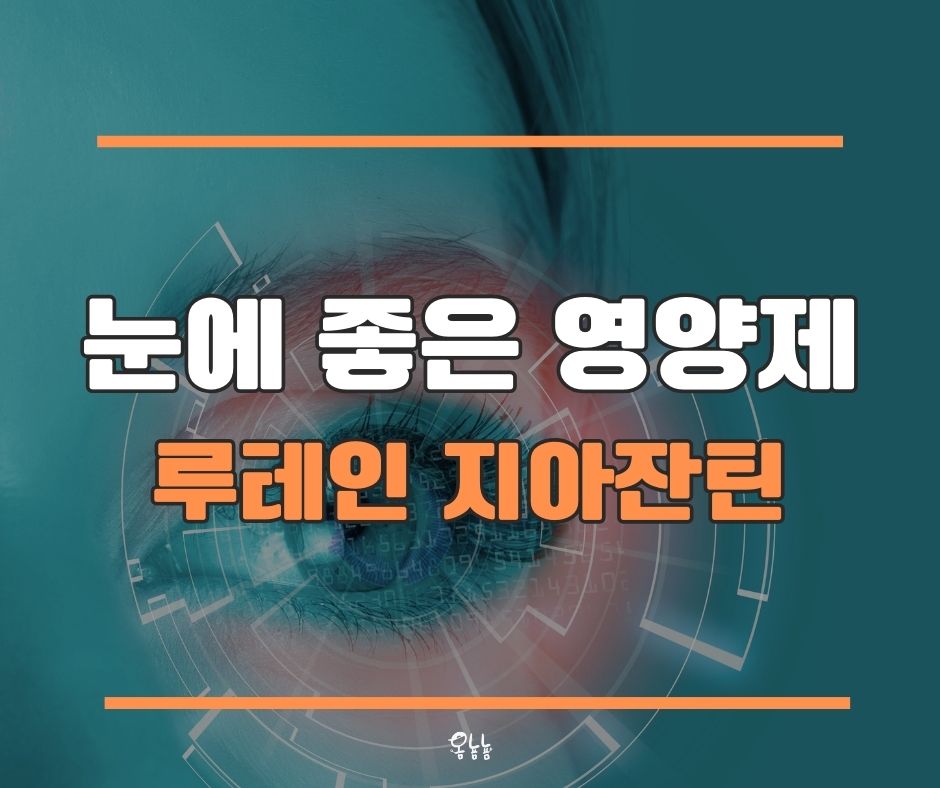 눈에 좋은 영양제