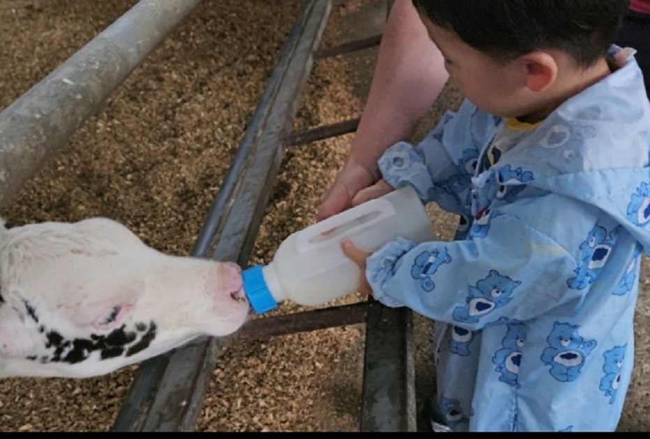 극한직업-의령-젓소목장-우유