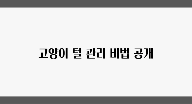 고양이 털 관리의 필수 가이드: 방법과 주의사항을 꼭 알아두세요