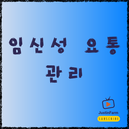 임산부 허리 통증 완화 스트레칭, 집에서 안전하게 따라하는 방법