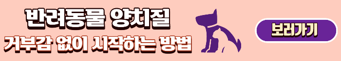 반려동물 양치질 시작하기