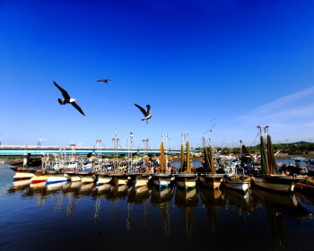 소래포구축제_3