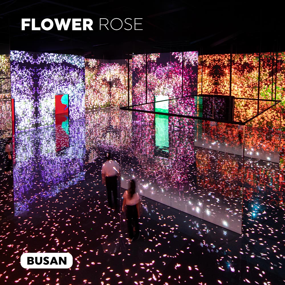 아르떼뮤지엄 부산