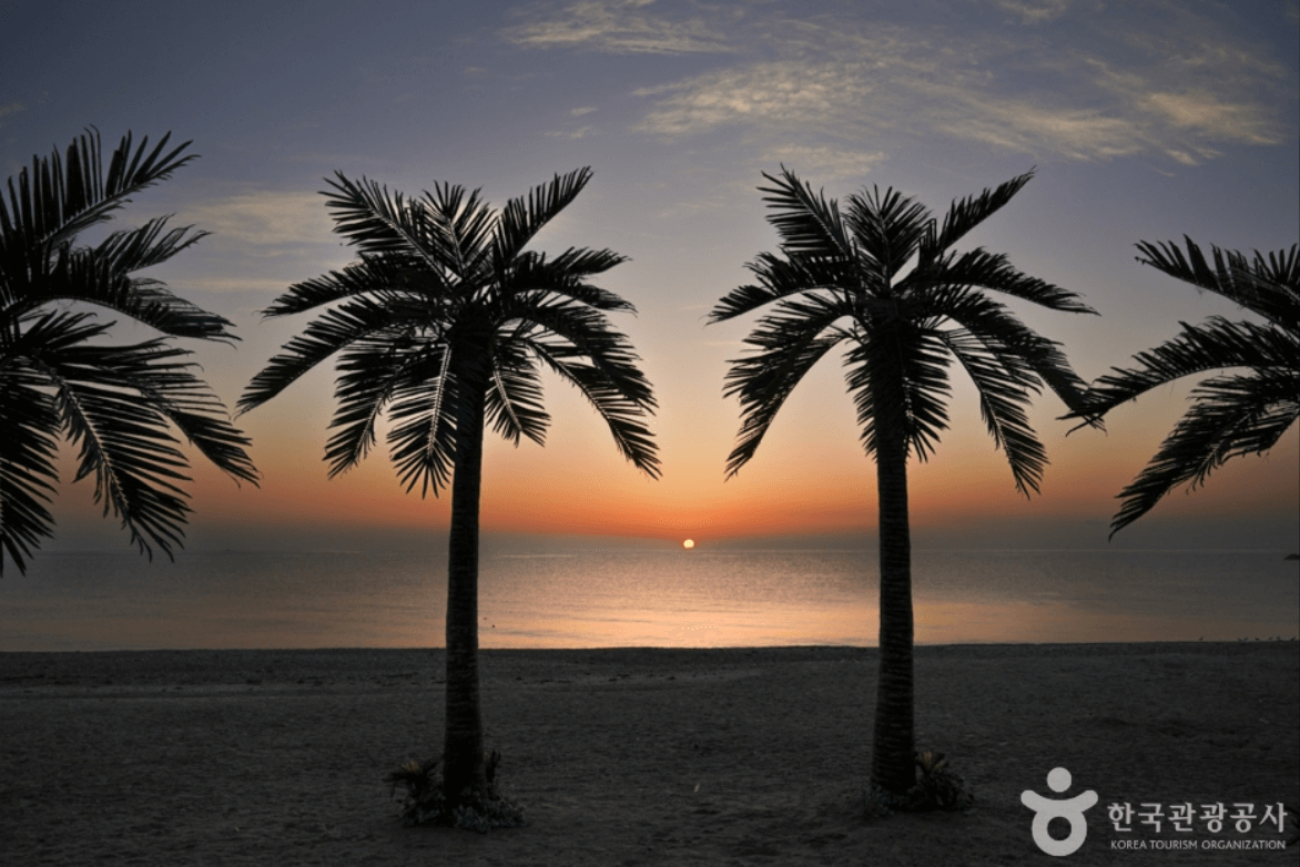 오류 해수욕장 (경주)