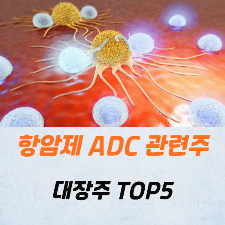 항암제 ADC 관련주 대장주 테마주 TOP5