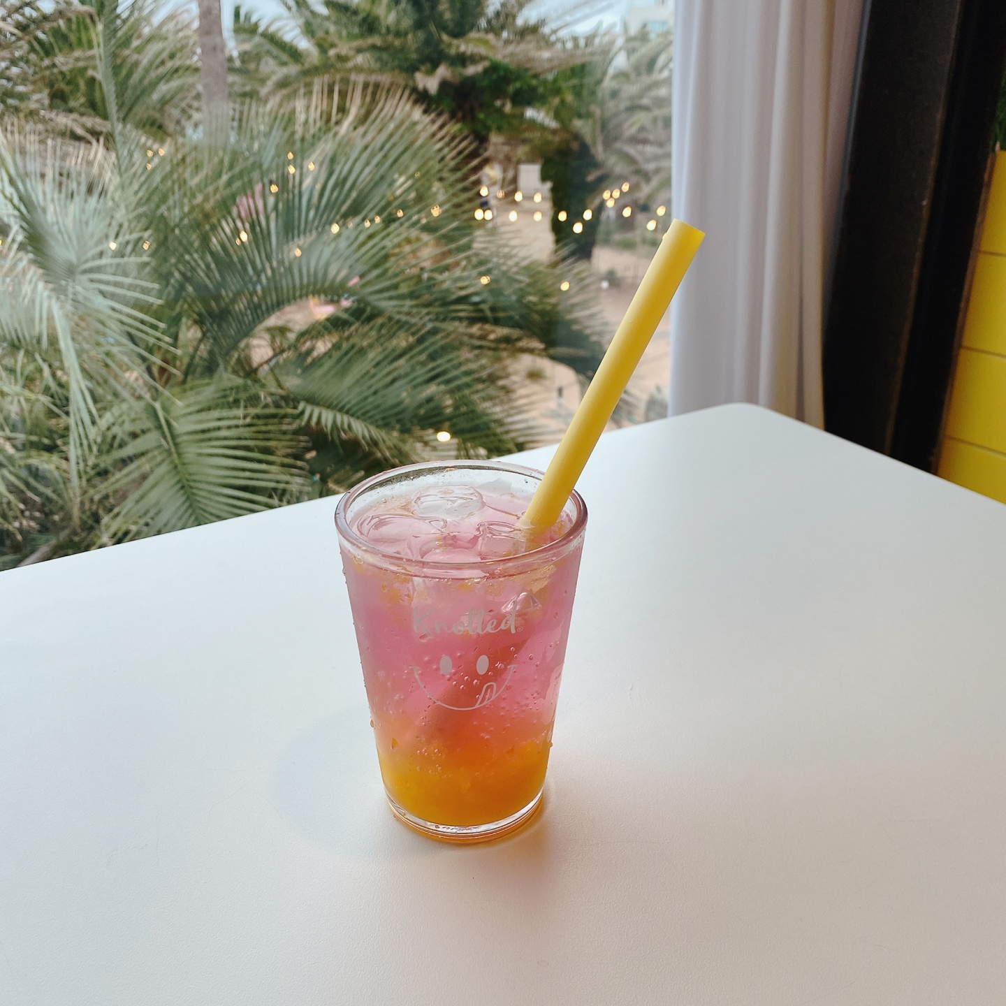 노티드 도넛 제주 애월 핫플레이스 우유크림 도넛 Knotted JEJU