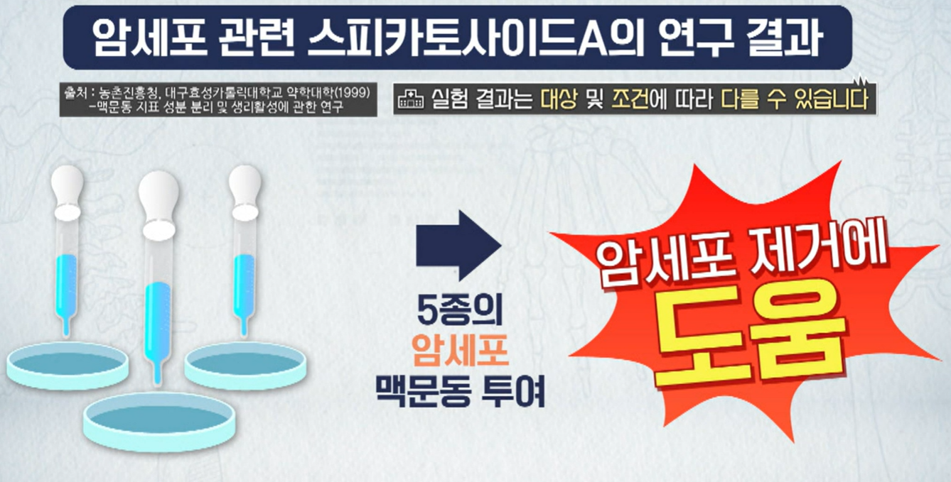 볶음 맥문동 분말 효능