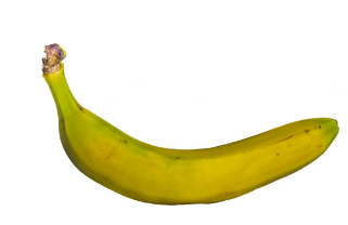 설익은 바나나