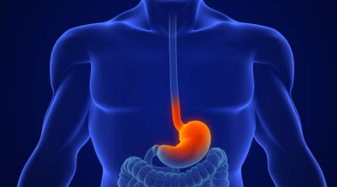역류성 식도염에 좋은 음식, 증상, 자연치료 방법 총정리 (2024ver)