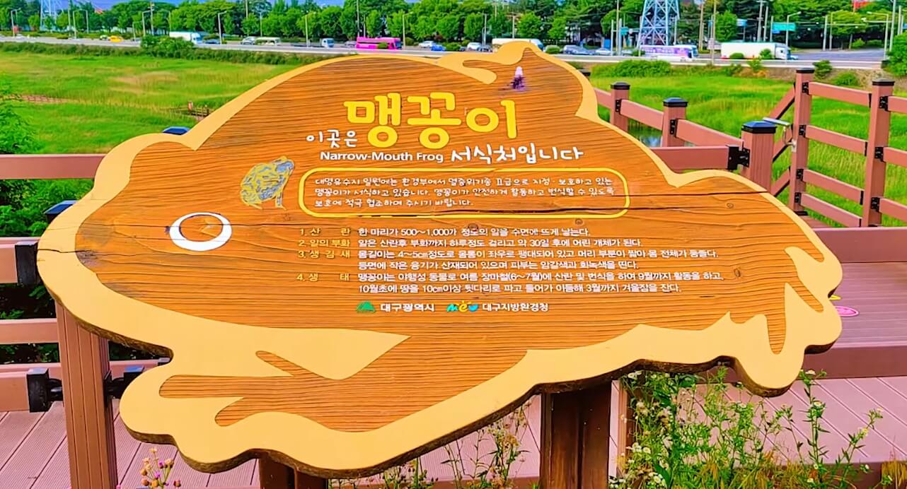 달성습지
