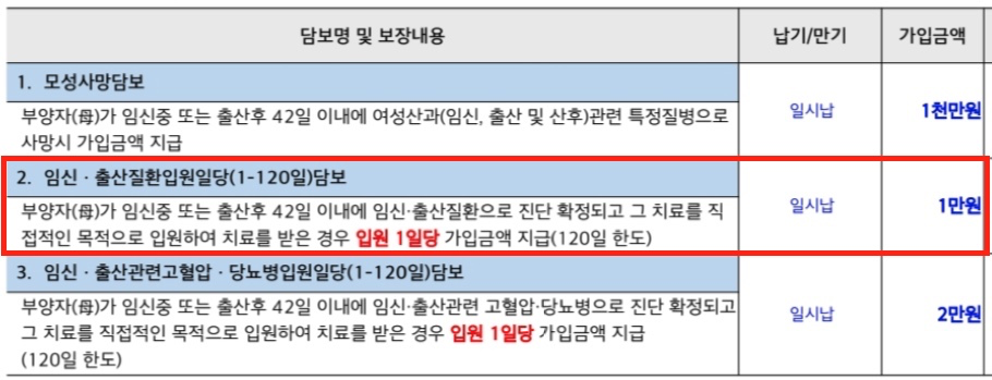 보험-보장