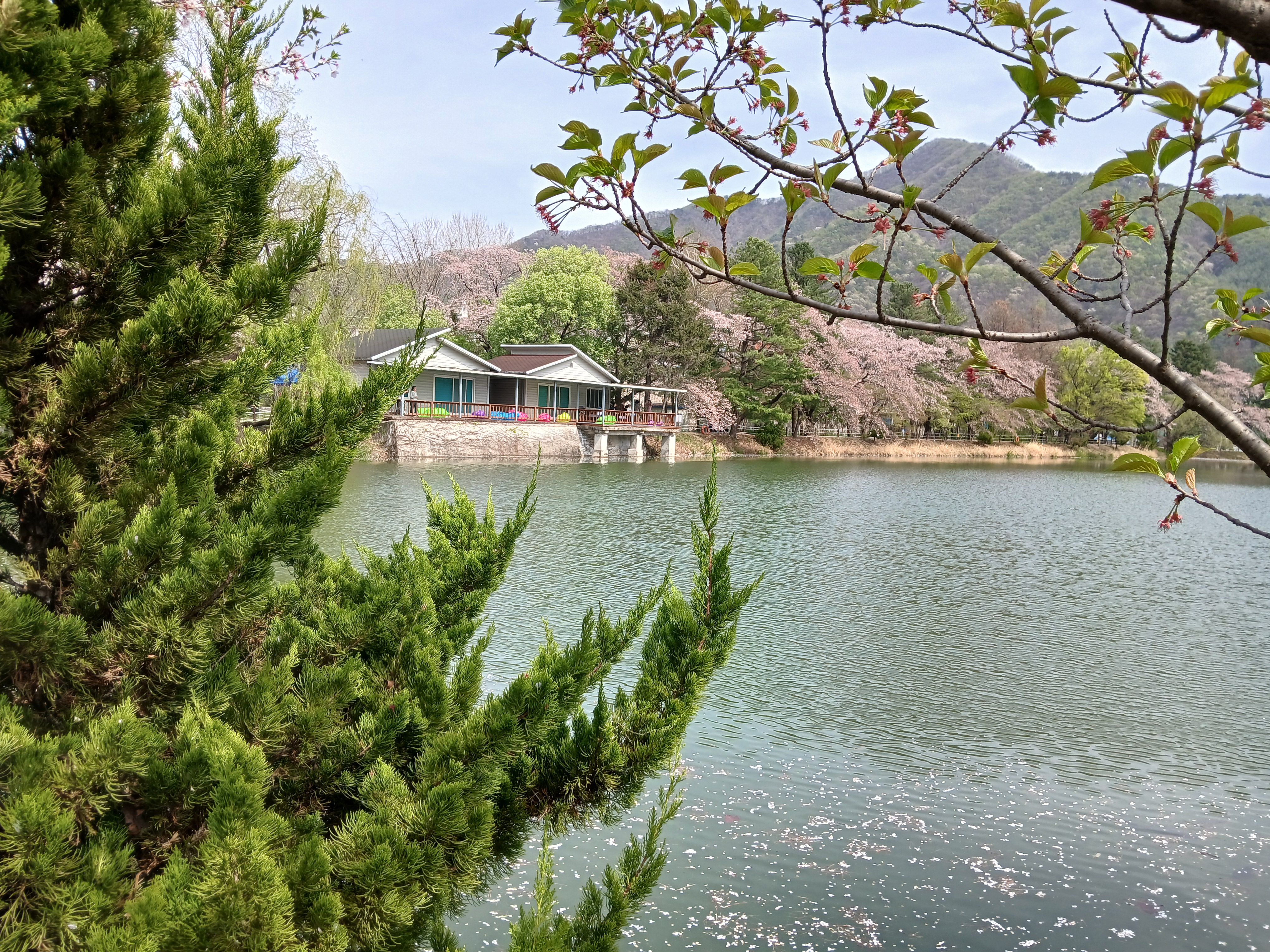 조용한 분위기의 내수면연구소