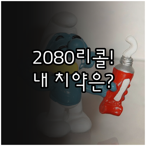 2080 베이직치약 리콜 정보와 제조..