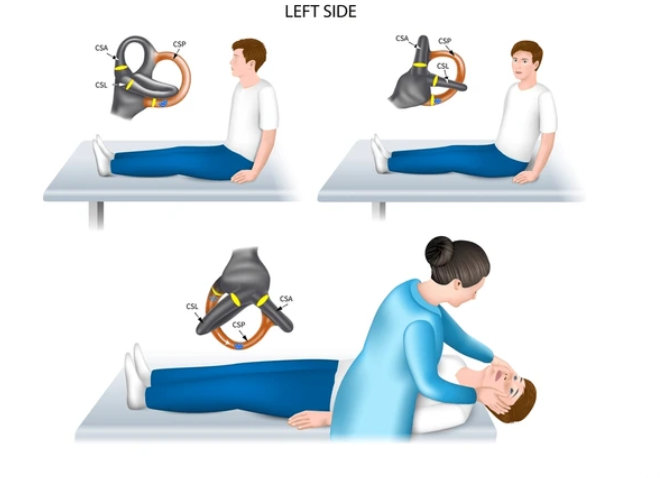 딕스 홀파이크 왼쪽 검사 인포그래픽