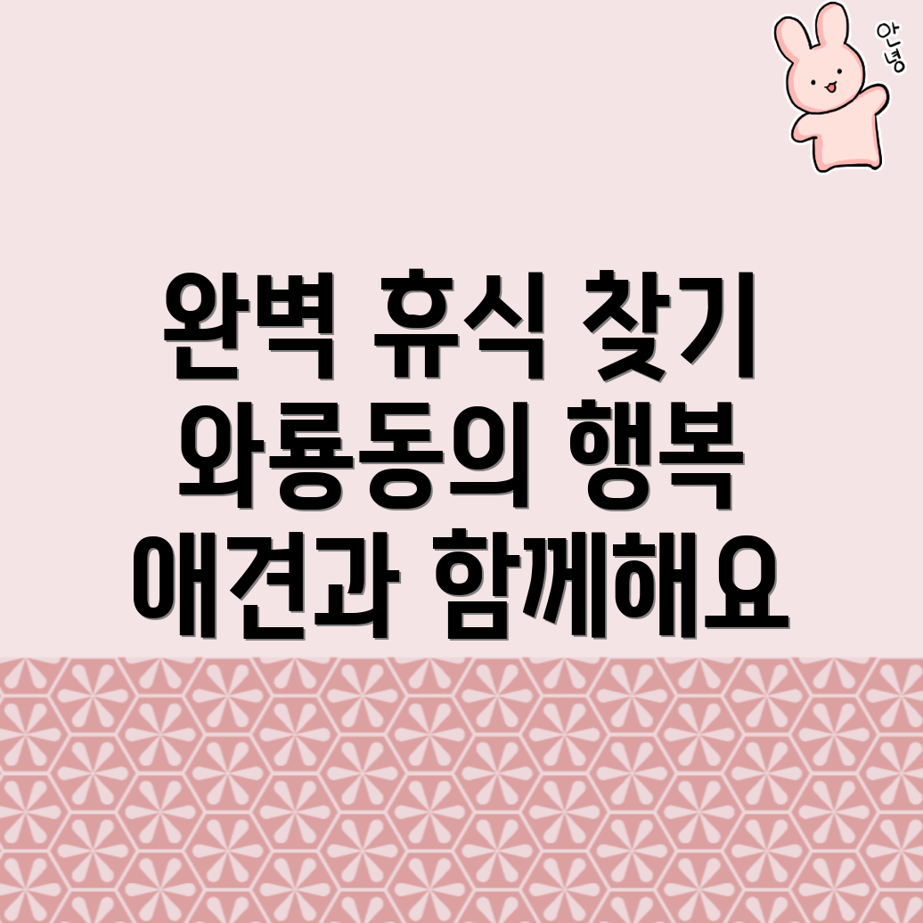사천시 애견동반펜션