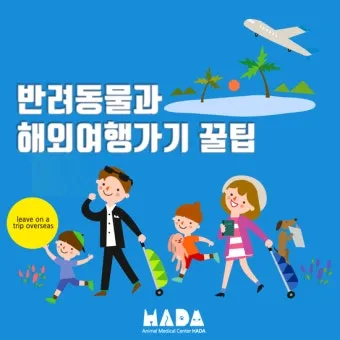 반려동물과 해외여행 기내 직항 펫 전용 준비와 절차_19