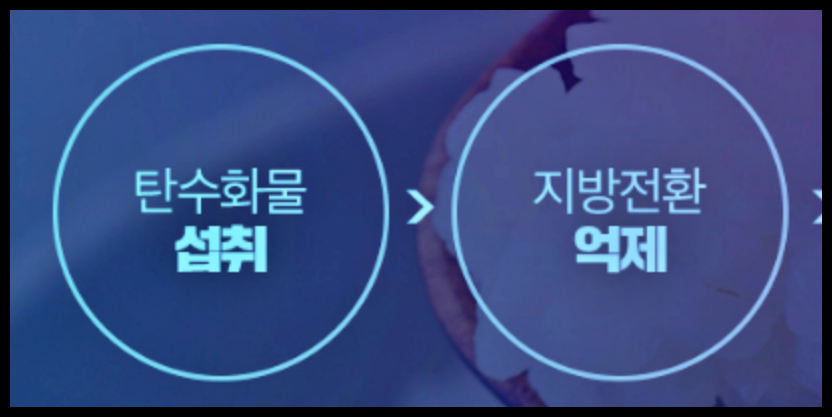 베라핏 다이어트 가격 후기