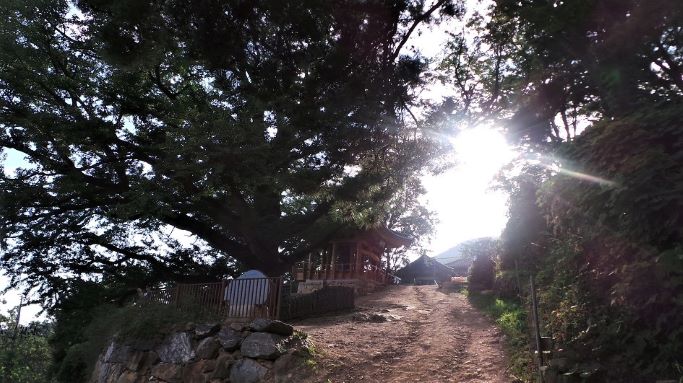 대웅전으로 가는 길, 역광, 눈부신 햇빛,