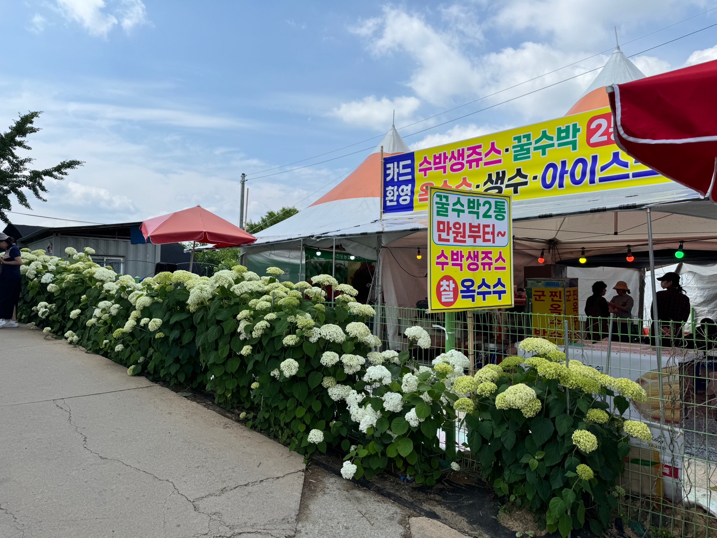 수국정원