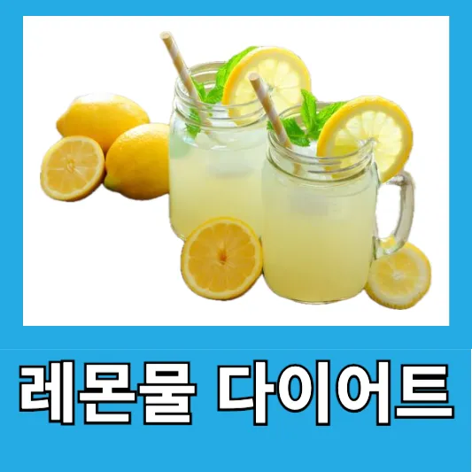 직장인 다이어트 레몬물 레몬수 레몬물 비율 효능