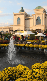 임실치즈축제 열차&amp;#44; 셔틀버스&amp;#44; 주차장 꿀팁