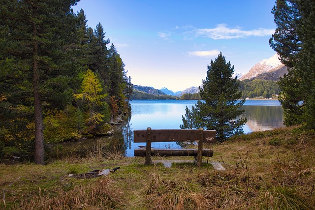자연 속 호수 풍경