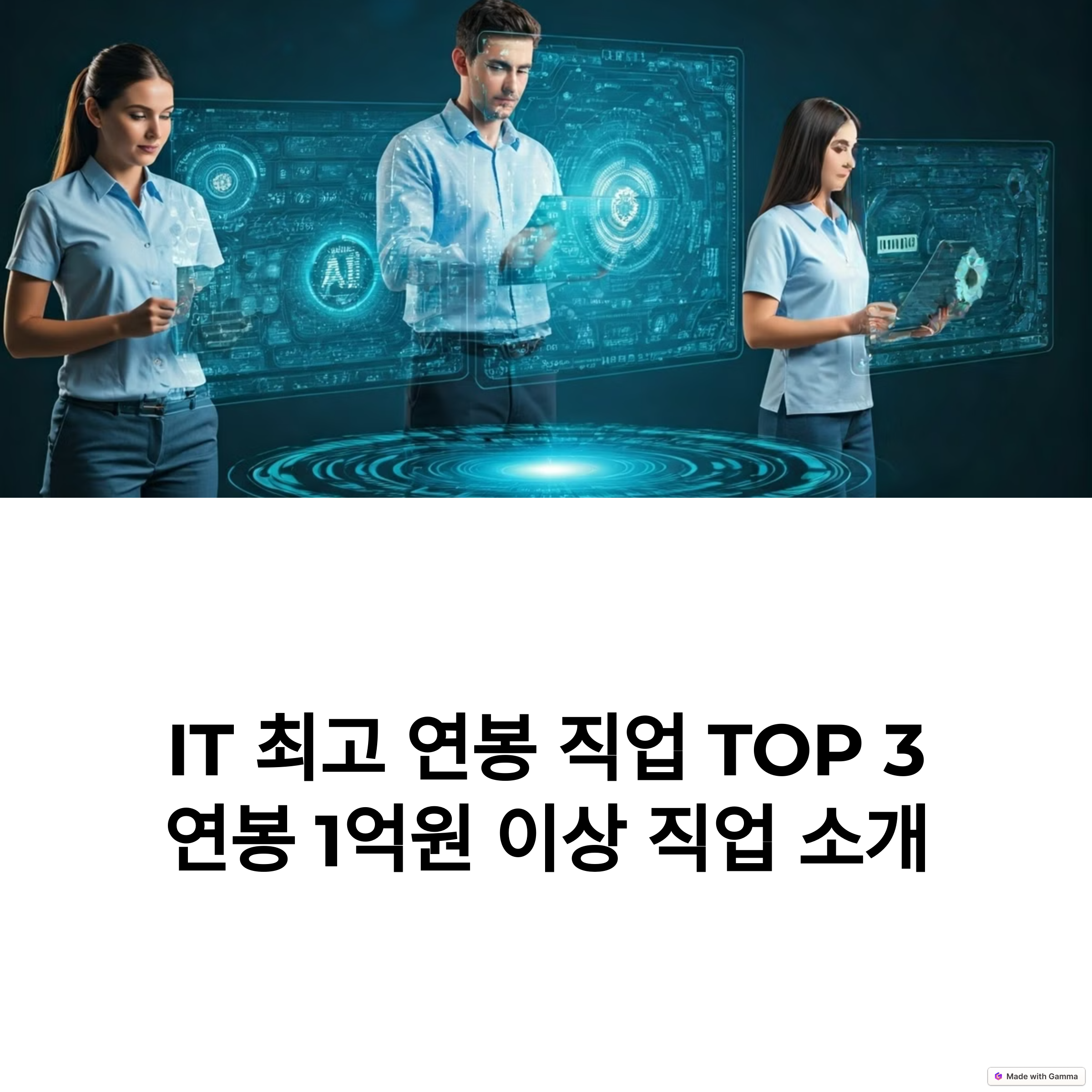 IT최고연봉