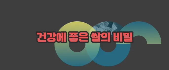 현미 효능  자세히 알아볼게요