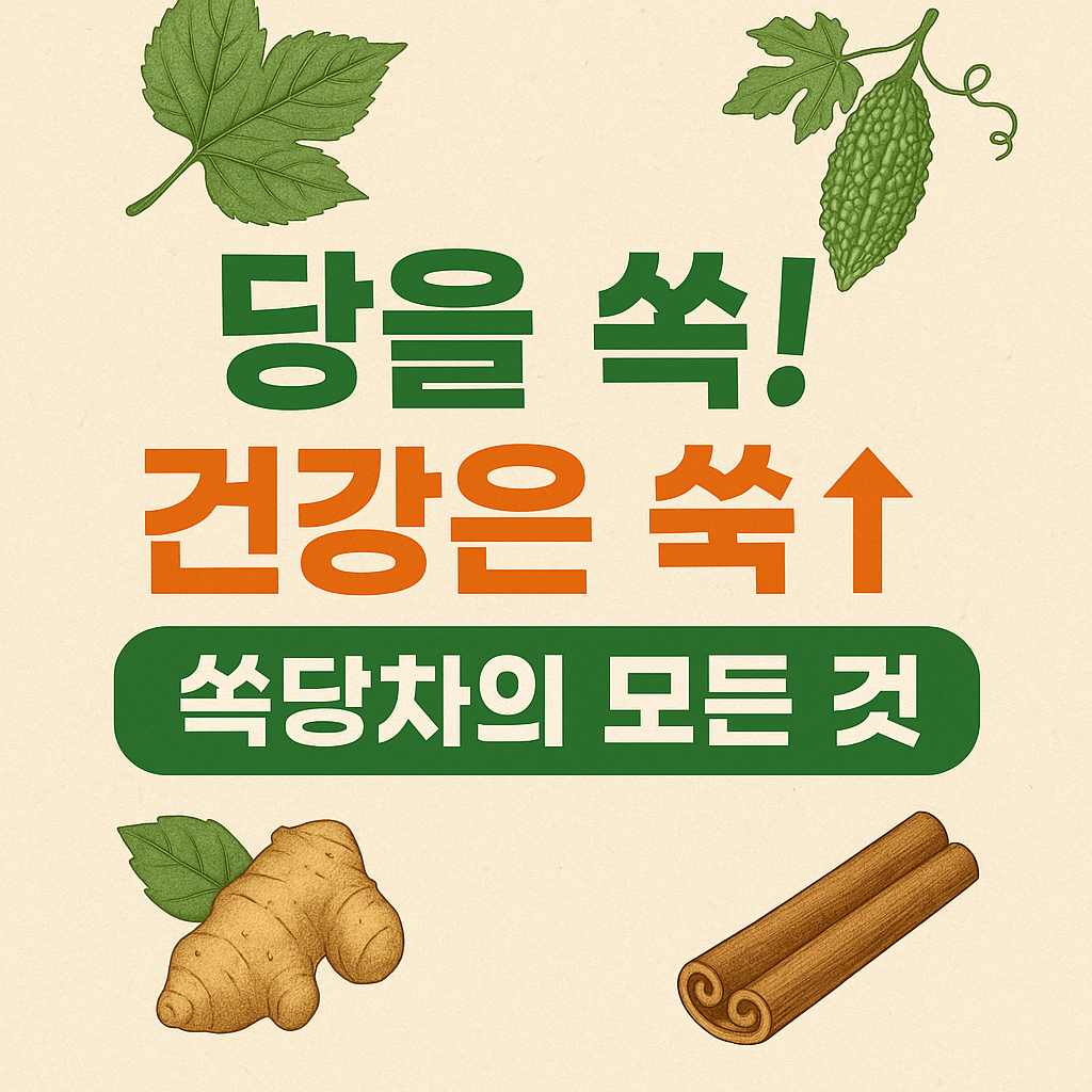 중장년층 건강 관리 트렌드, 쏙당차의 모든 것