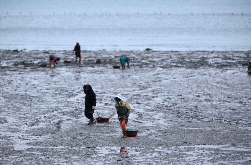 한국에서 가장 높은 마을, 가장 낮은 마을 이야기