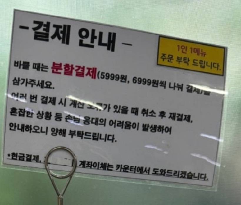 속초-산오징어물회-완도회식당-4시간운영