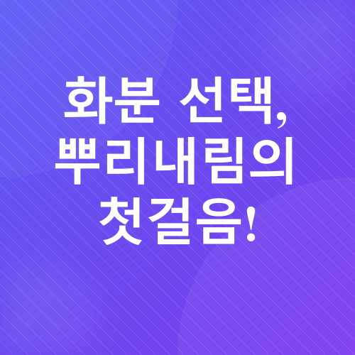 블루베리 화분 재배_1