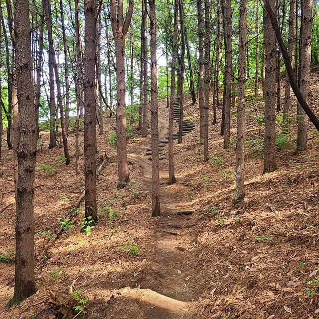 차 한잔하실래요 완벽 힐링 음악_2